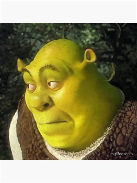 Shrek Face Meme Metal Print For Sale By Mylifeasgaia Redbubble