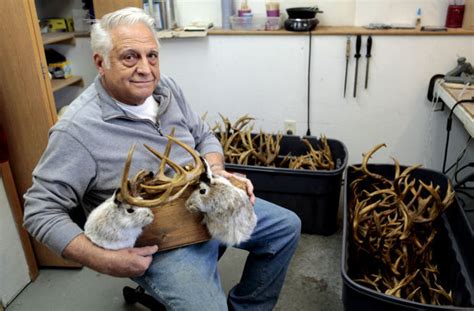 After booking your south dakota flights, you may access your account profile on the orbitz site and update. Jackalope sightings abound in South Dakota | Montana News ...