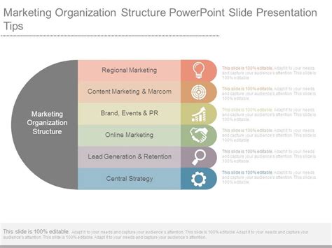 Marketing Organization Structure Powerpoint Slide