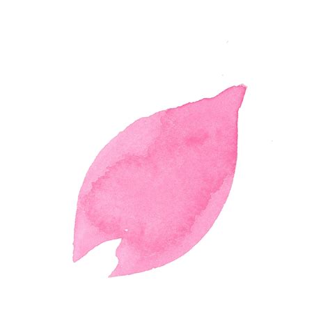 桜の花びら｜sui Sai｜手描き水彩イラストフリー素材集
