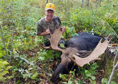 Guided Moose Hunting Trips In Maine Wmd 1 2 3 4 And 5 Allagash