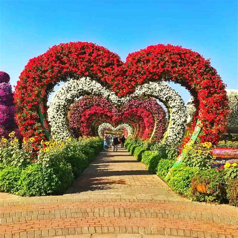 Read the reviews and write yours, find contacts, view 4 pictures, discover how to get there. Dubai Miracle Garden Glow - Qut Blog