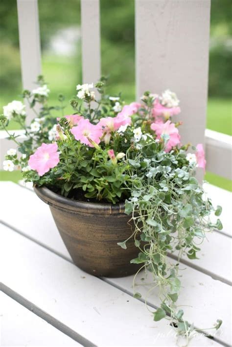 How To Arrange Flower Pots Correctly Garden Lovin Garden Containers