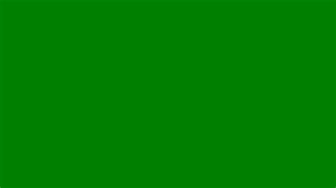 2560x1440 Office Green Solid Color Background