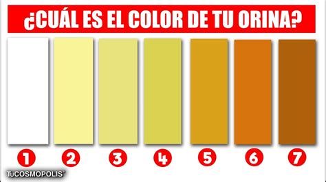 Porque Cambia De Color La Orina Con El Cloro Wholesale Online Save 42