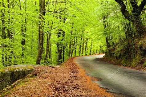 Spring Landscape With Road And Beautiful Green Trees — Stock Photo