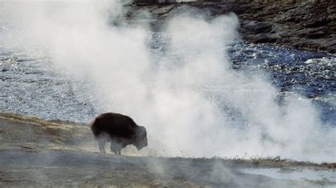10 Things You May Not Know About Yellowstone National Park History Lists