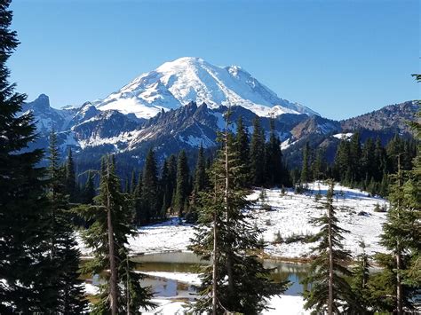 Mount Rainer From The Top Of Chinook Pass Last Weekend I Love