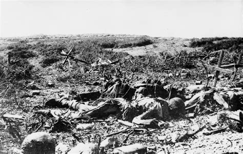 The Aftermath Of The Battle Of Lone Pine Gallipoli 1915 Australias
