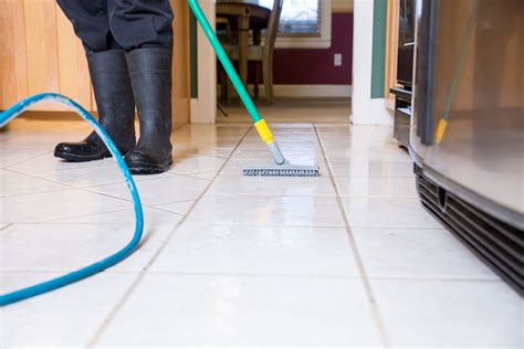 Saturate the grout with lemon juice, a mild disinfectant that gets rid of grout stains naturally. Tile and Grout Cleaning Gainesville FL | Tile Cleaning ...
