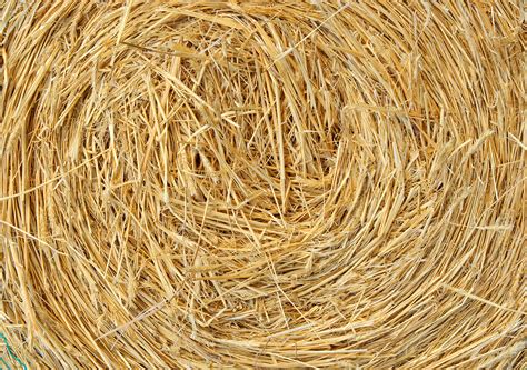 Straw Texture Side On View Of A Round Straw Bale
