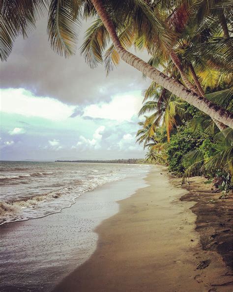 Tropical Beach Naguabo Puerto Rico