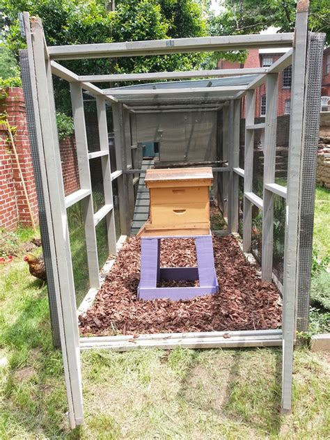 Keeping Bees With Chickens Coop Thoughts Blog