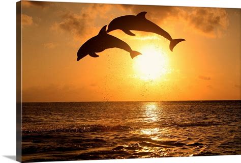 Bottle Nosed Dolphins Leaping In Front Of A Sunset Wall Art Canvas