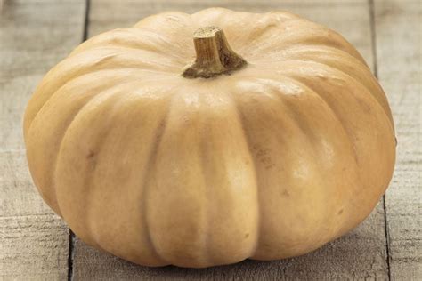10 Types Of Pumpkins That Are Actually Great For Cooking