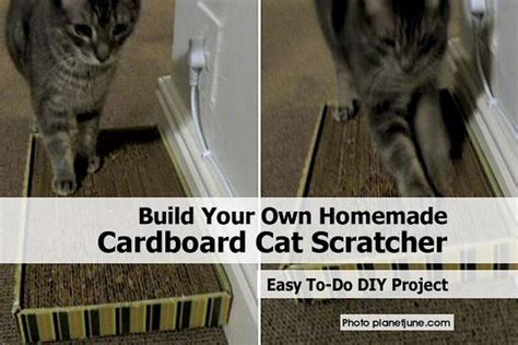 The kitten is growing and is already starting to sharpen its claws, it was decided to make him a scratching post and a house with a. Build Your Own Homemade Cardboard Cat Scratcher