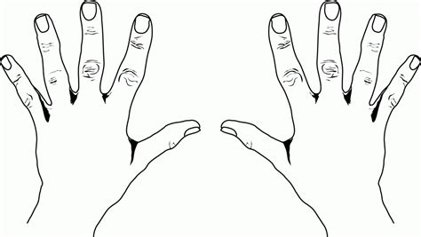 Left And Right Hand Drawing At Getdrawings Free Download