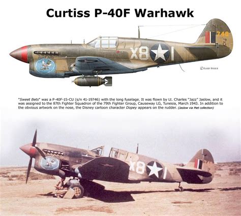 P 40f Warhawk Wwii Aircraft Vintage Aircraft Ww2 Aircraft