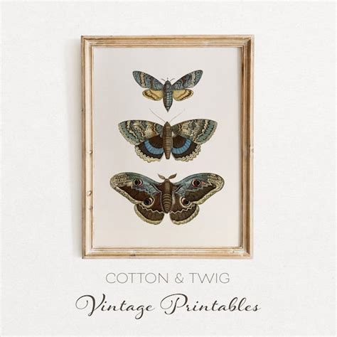 Printable Vintage Blue And Yellow Moths Wall Art Instant Download