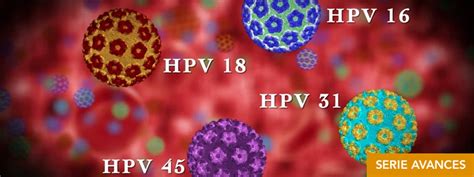 Hpv Virus Papiloma Humano