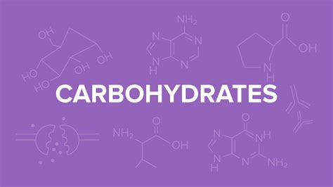 Carbohydrates For The Mcat Everything You Need To Know — Shemmassian