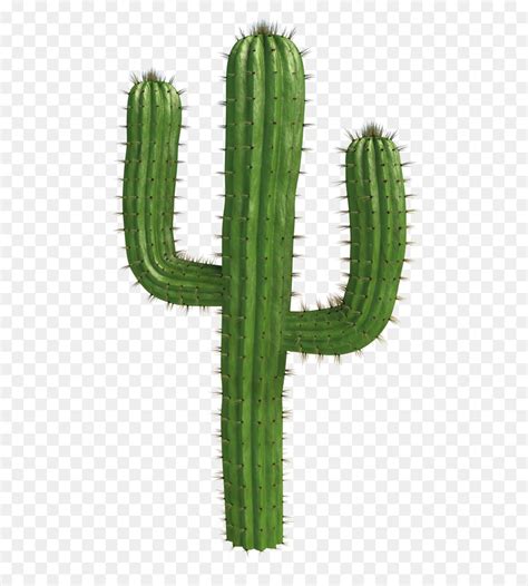 Maan svg rainbow svg planet clipart bloemen svg maanfase ruimte clipart cloud svg fasen van de maan kawaii clipart pastel. Cactus clipart saguaro, Picture #144586 cactus clipart saguaro
