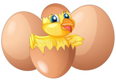 chick hatching from egg clipart design stock vector illustration of bird clipart 41570652