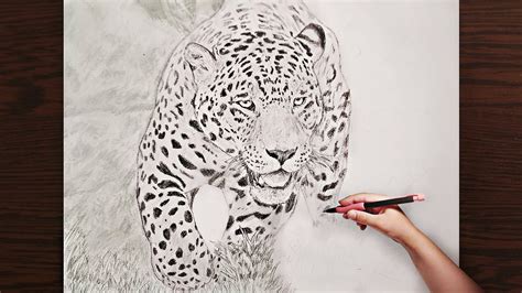 Extremely Realistic Jaguar Drawing Jaguar Art🐆 Youtube