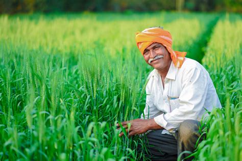 Agriculture Year In India Management And Leadership