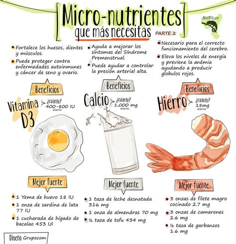 Los Micronutrientes Que Más Necesitas Parte 2 Infografías Y Remedios