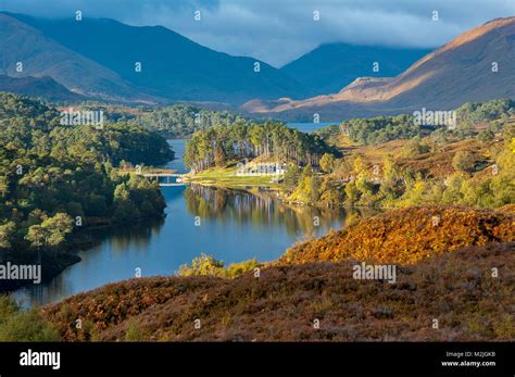 The Beauty Of Scotland Glen Affric Scottish Highlands Scotland Uk Stock