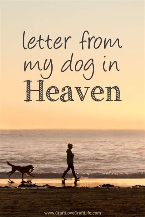 Dog Grief Pet Loss Grief Love My Dog Dog Heaven Quotes Dog In