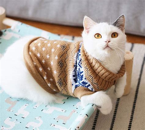 Collar Charms Soft Tloowy Cat Sweaters Kitty Sweater For Cats Knitwear