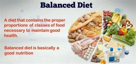 What Does A Balanced Diet Mean Keto Diet Blog
