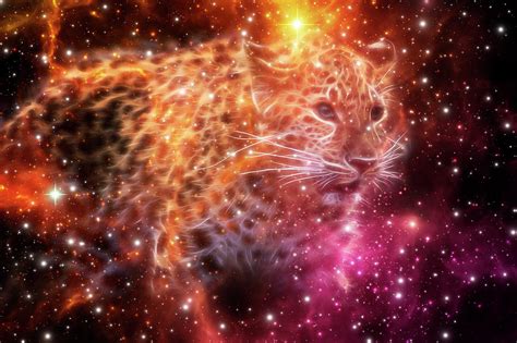 Cheetah Galaxy Art Digital Art By Veronika Limonov