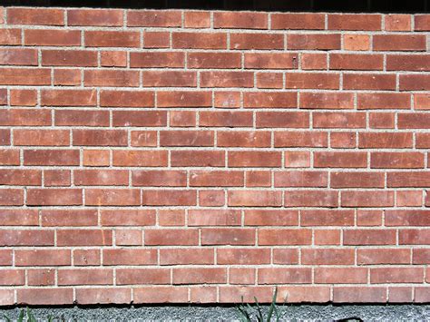Filsolna Brick Wall Silesian Bond Variation1 Wikipedia