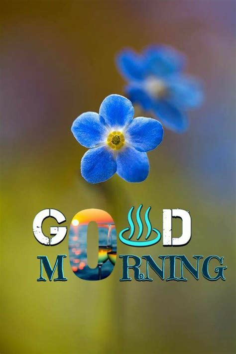 Pin By Alpesh Undhad On Good Mornings Good Morning Cards Good