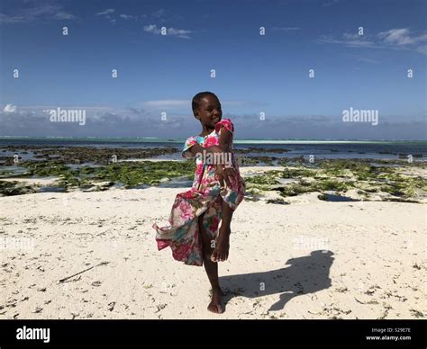 Zanzibar Starfish Hi Res Stock Photography And Images Alamy