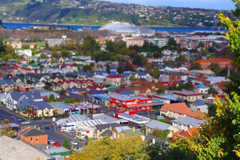 Dunedin, NZ : tiltshift