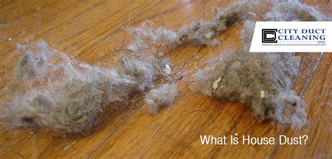 What Is House Dust City Duct Cleaning Inc