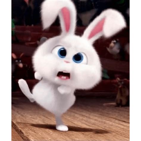 Snowball Rabbit 2 Bunny Pictures Cute Cartoon Pictures Cartoon Pics