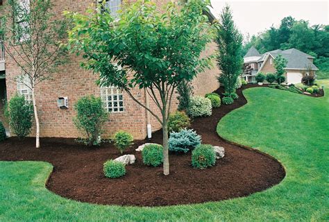 36 Expensive Landscaping Front Yard Full Sun Small Trees With Images
