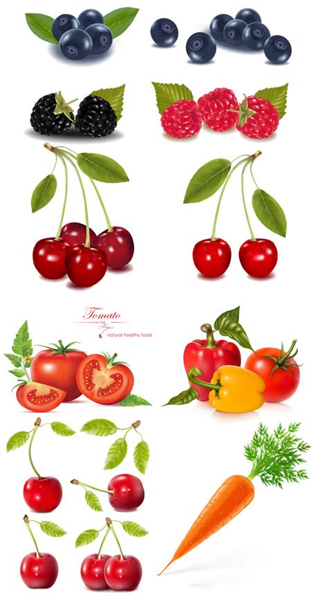 Quality Graphic Resources Photo Realistic Fruit And Vegetables Stock