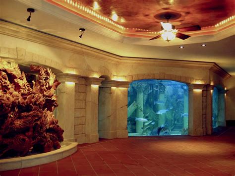 I Would Love To Have A Huge Aquarium In My House Private Aquarium In