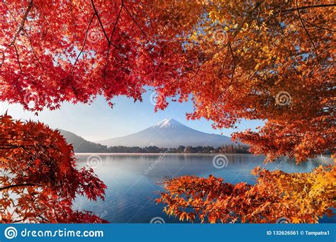 Fall Foliage In Autumn Season And Mountain Fuji Near Fujikawaguchiko