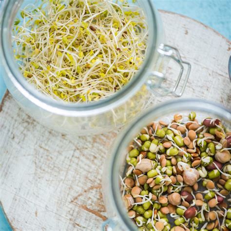 DIY: Sprouting Grains at Home - Producers Stories