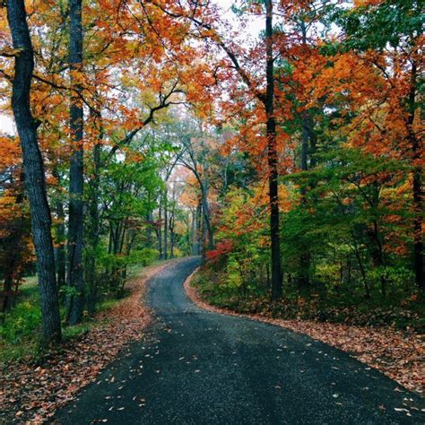 8 Country Roads In Texas That Are Pure Bliss In The Fall
