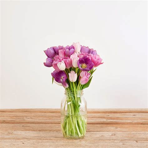 Pink And Purple Tulip Bouquet The Bouqs Co