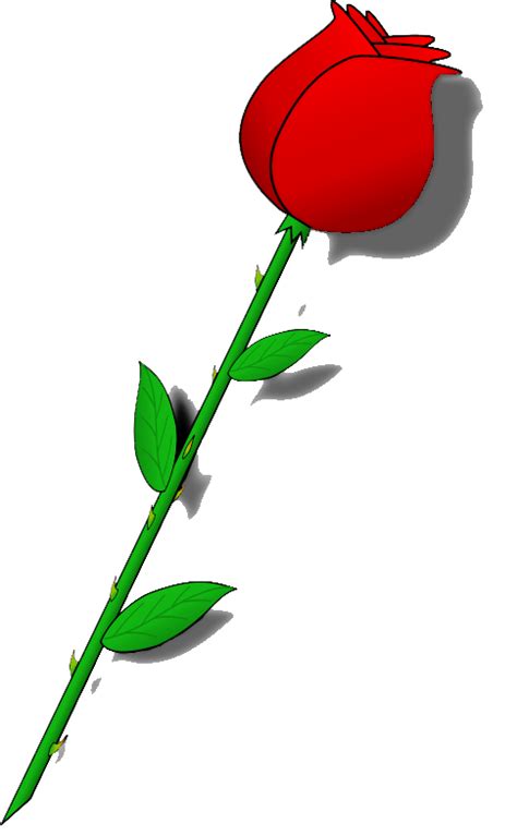 Red Rose Bud Image With Transparent Background Rose Bud Image Rose