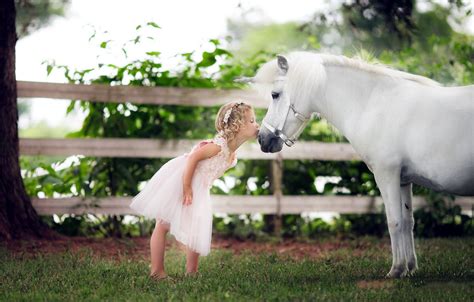 Wallpaper horse, kiss, unicorn, girl images for desktop ...